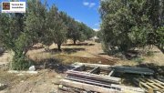 Pitsidia Kreta, Pitsidia Grundstück von 1566 m² zu verkaufen in Pitsidia Grundstück kaufen